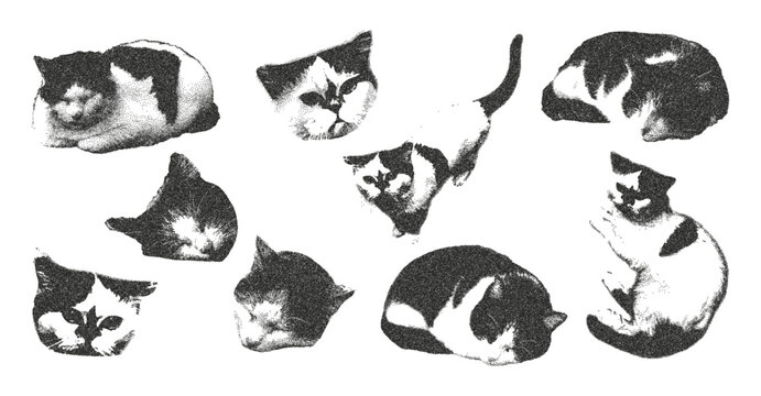 Cats photocopy effect collage cut outs set. Stickers with vintage dotted texture. Retro grunge vector illustration on transparent background. 