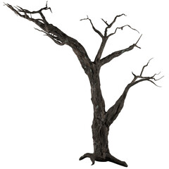 Fototapeta premium Old Tree in Drought Dry Nature Landscape