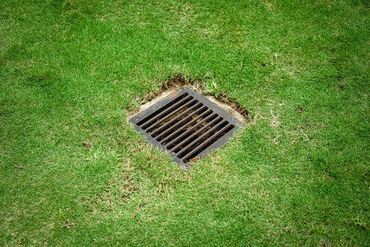 Metal drainage grate in a green grass lawn.