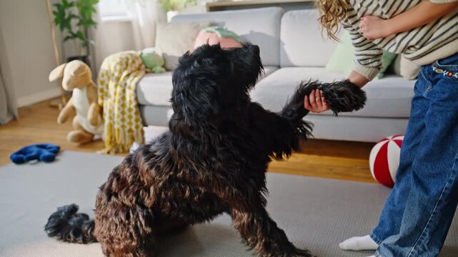 Kid girl training dog at sunny living room closeup. Cute black pet giving paw
