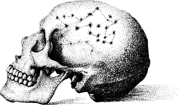 Human skull marked with constellation pattern on surface
