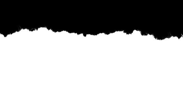 Large scale paper rough edge border with visible fiber texture. Black and white luma matte mask for video editing, stop-motion reveal and organic paper rip effect.