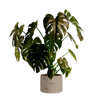 illustration 3d render Collection of potted plants  with various green plants in pots. Indoor plants, potted greenery, different types of plants, decorative pots, home decor raised vegetation elements