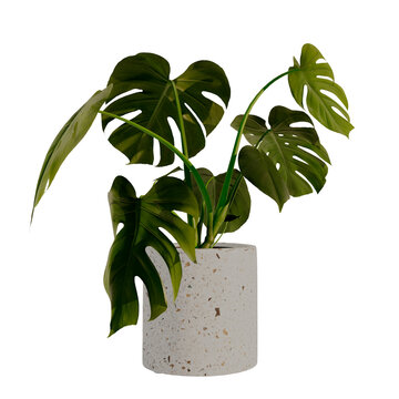 illustration 3d render Collection of potted plants  with various green plants in pots. Indoor plants, potted greenery, different types of plants, decorative pots, home decor raised vegetation