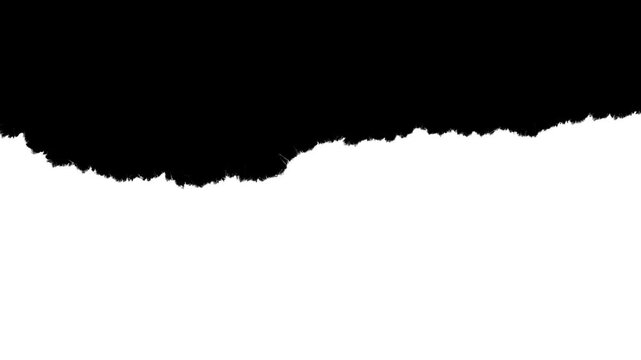 Large scale paper rough edge border with visible fiber texture. Black and white luma matte mask for video editing, stop-motion reveal and organic paper rip effect.