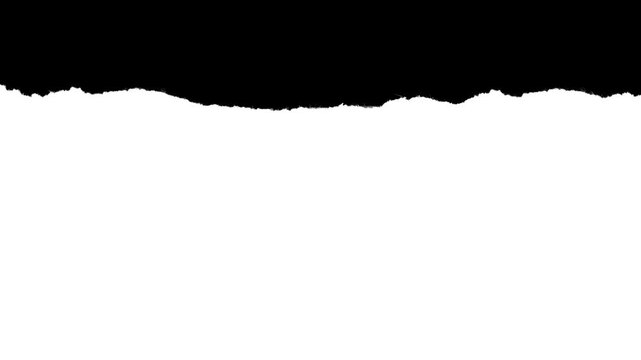 Medium scale paper rough edge border with visible fiber texture. Black and white luma matte mask for video editing, stop-motion reveal and organic paper rip effect.