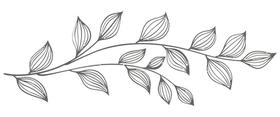 Elegant branch with delicate leaves a minimalist black and white illustration © Md