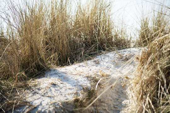 D&uuml;nen am Strand von Norddeich