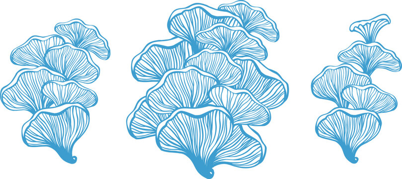 Bracket Fungus Organic Shape Vector Set Hand Drawn Mushroom Elements