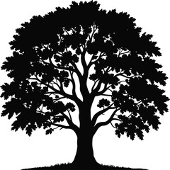 Obraz premium Tree silhouette, deciduous design, botanical outline, forest art, thick trunk, dense foliage, natural landscape, eco concept, environmental illustration, outdoor scenery