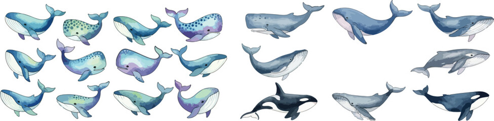 Fototapeta premium Watercolor Whale and Orca Illustration Collection