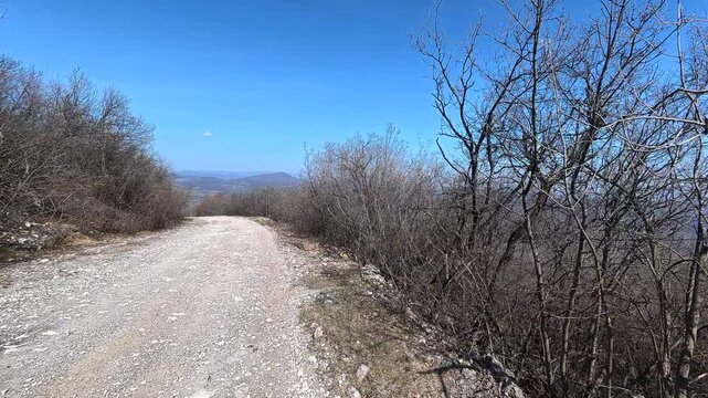 Dirt path winds through barren trees. Lazarev (Lazar's) Canyon. Balkans, Serbia.