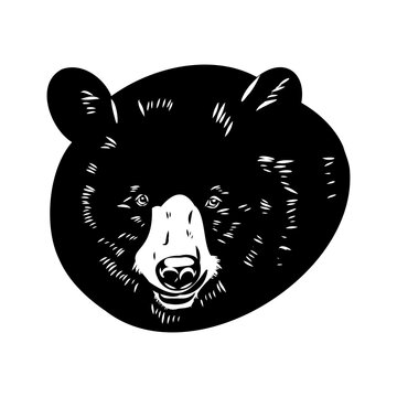 baribal bear, vector sketch