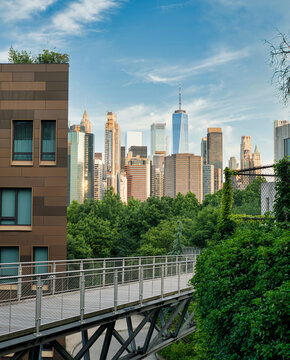 Lower Manhattan skyline with One World Trade Center viewed above lush urban greenery in New York City
