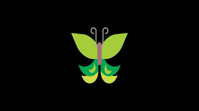 Green butterfly on black animation
