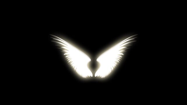 White shiny angel wings 3d animation