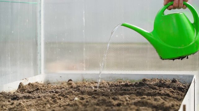 Watering prepared seed furrows with watering can in greenhouse bed slow motion