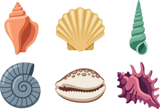 Set sea shells. Hand drawn underwater elements. Illustration for summer, ocean design, beach decor, kids projects. Collection marine shells.