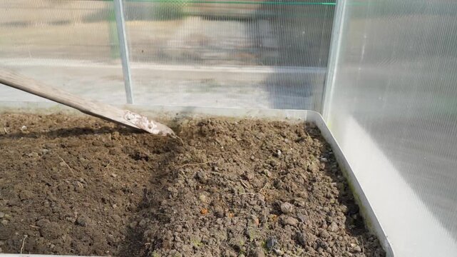 Loosening soil on garden bed in greenhouse with hoe close-up slow motion
