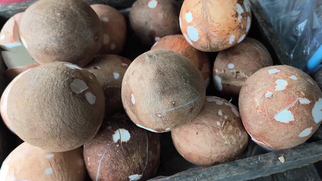 a pile of coconuts that have been cleaned of their husks