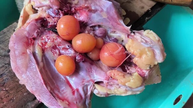 Oviduct or a collection of chicken eggs that are still inside the hen when it is slaughtered