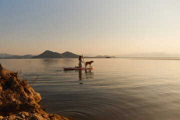 Fototapeta premium A Nova Scotia Duck Tolling Retriever rides calmly with a person near the sun reflection. The view is framed by rocks and smooth golden water.