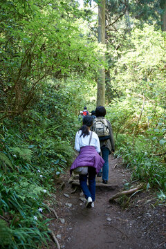 Hikers on a forested trail during a family hike in Mount Takao