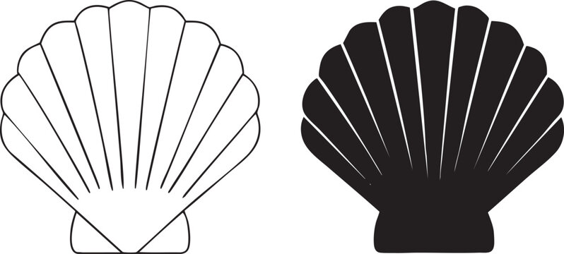 Scallop Shell Outline and Silhouette Isolated on White Background for Design