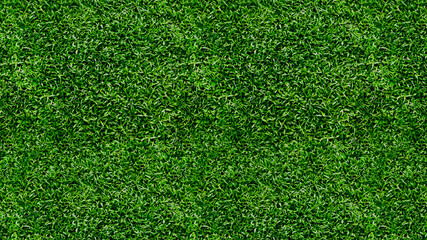 Obraz premium Green grass texture background 3D render