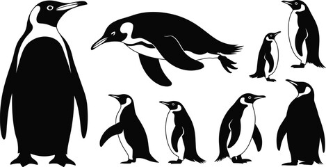 Penguin silhouette collection, antarctic bird vector set, black and white wildlife clipart, swimming standing penguins isolated illustration bundle © Prodip Creative