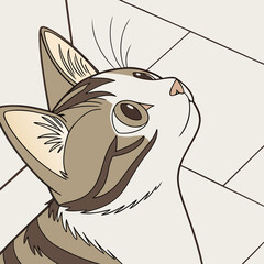 Brown and white cat looking up with tiled background feline animal © Marjan
