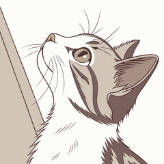 Brown and white cat looking up with solid background feline animal © Marjan