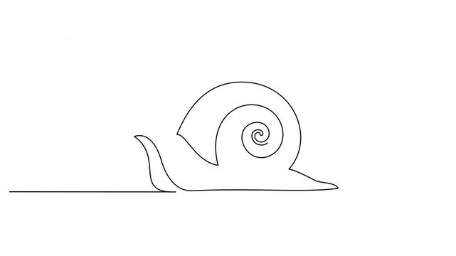One-line drawing animation of snail with spiral shell, mascot concept for organic healthy food, continuous self-drawing line, black stroke on white, logo style, loopable.