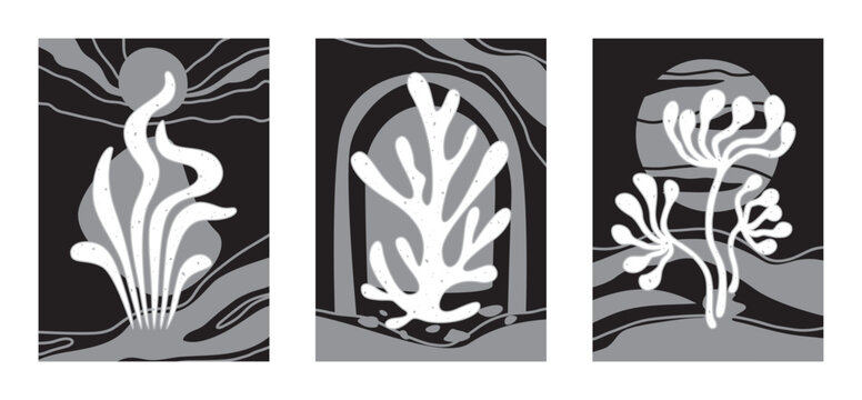Abstract Floral Backgrounds  in Black, Gray  and White
