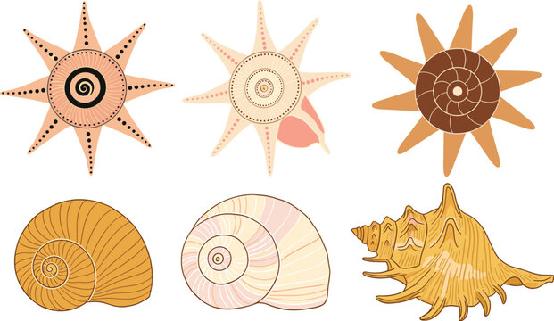 Illustration Set of Sea Shells and Starfish in Various Shapes and Colors