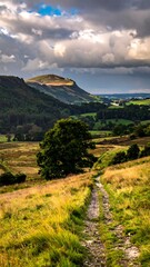 Obraz premium A scenic vertical shot of a rural landscape with a path leading towards hills under a dramatic sky. A lone tree stands in the foreground