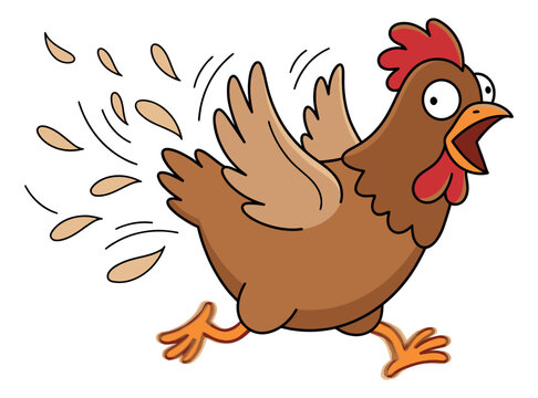Cartoon illustration of a panicked chicken depicting frantic running with flying feathers for humor and farm design