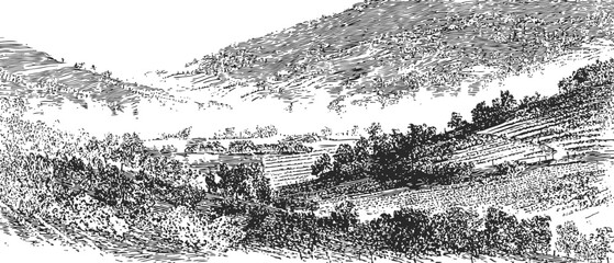 Obraz premium Vintage engraving of a mountainous landscape with trees, terraced hills, and distant valleys