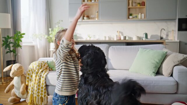 Playful child playing dog in sunny flat closeup. Joyful moment with black pet