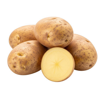 A cluster of fresh brown potatoes including one halved showcasing the yellow interior on transparent background