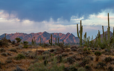 Early Morning Wide Ratio View Of The McDowell Mountains In North Scottsdale AZ