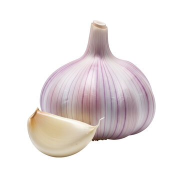 A single bulb of garlic with one clove separated showcasing its layers and texture on transparent background