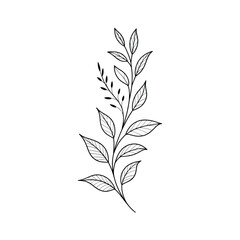 Fototapeta premium Minimalist Botanical Branch Line Art with Leaves and Clean Neutral Background