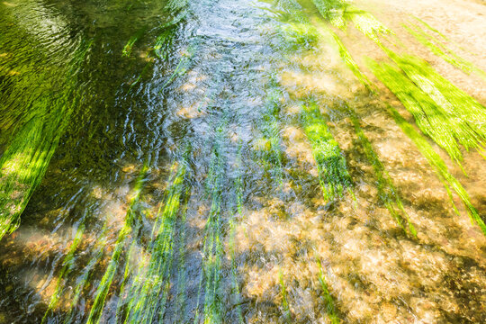 River Wuerm flowing through lush green forest in Gauting near Munich, Bavaria, Germany