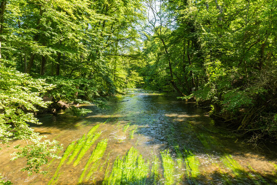 River Wuerm flowing through lush green forest in Gauting near Munich, Bavaria, Germany