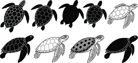 Fototapeta premium Collection of sea turtles in different poses and styles black and white outline.