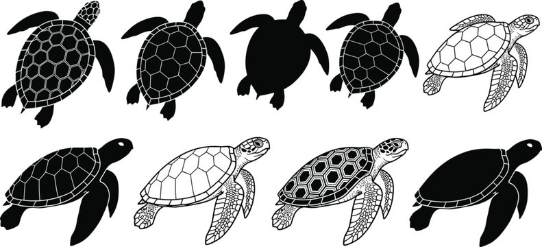 Collection of sea turtles in different poses and styles black and white outline.
