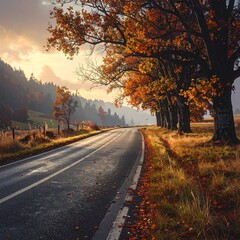 Fototapeta premium A serene autumnal road winding through trees