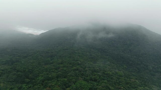 Low clouds moving across rainforest ridge above the coast