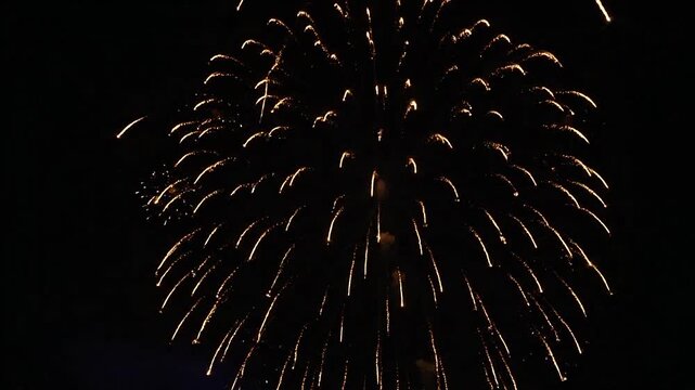 Bright golden fireworks explode in the dark night sky during a celebration